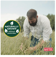 Kaytee Forti-Diet All Natural Timothy Hay, 48 onzas