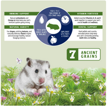 Alimento Vitakraft Vita Smart para hámsteres - Nutrición completa - Mezcla fortificada prémium con vitaminas añadidas para hámsteres