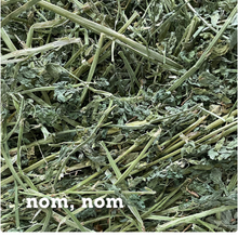 5 Lbs Fresh Alfalfa Hay by Bunny Honey - USDA Organic Natural Hay for Guinea Pigs, Rabbits, Hamsters, Hedgehogs, and More Small Se