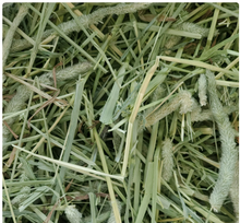 Standlee PremiumYum Heno de Timothy occidental, alimento para animales pequeños como conejos, cobayas y chinchillas, caja de 4 kg.