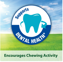 Kaytee Forti-Diet Timothy Treat Chew-A-Bowl para animales pequeños