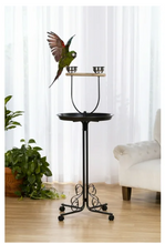 Prevue Pet Products Small Round Playstand for Birds 3185