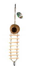 Penn-Plax Coconut Hide Out with 7 Step Ladder, for Bird or Small Animal Cage