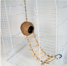 Penn-Plax Coconut Hide Out with 7 Step Ladder, for Bird or Small Animal Cage