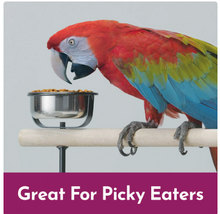 Kaytee Nutri Soft Macaw & Cockatoo Pet Bird Food, 3 lb.