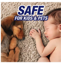 Dispensador de gatillo Resolve Pet Expert de 650 ml con recarga de 1,7 litros