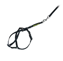 Premier Pet Cat Harness & Leash - Medium