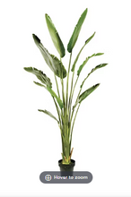 Planta artificial decorativa de palma viajera en maceta de 6 pies Winward