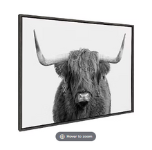 Retrato en blanco y negro de la vaca escocesa Kate y Laurel Sylvie n.° 1. Lienzo enmarcado de Amy Peterson, 28 x 38 cm, gris.