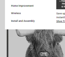 Retrato en blanco y negro de la vaca escocesa Kate y Laurel Sylvie n.° 1. Lienzo enmarcado de Amy Peterson, 28 x 38 cm, gris.