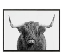 Retrato en blanco y negro de la vaca escocesa Kate y Laurel Sylvie n.° 1. Lienzo enmarcado de Amy Peterson, 28 x 38 cm, gris.