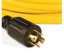 Champion 25-Foot 30-Amp 125/250-Volt Fan-Style Generator Extension Cord (L14-30P to four 5-20R)