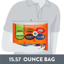 Hershey Assorted Chocolate Snack Size Candy, Variety Bag 15.57 Oz, 30 Pieces - Brands For Less USA