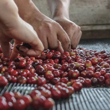 Member'S Mark Medium Roast Ground Coffee, Donut Shop, 40 Oz.