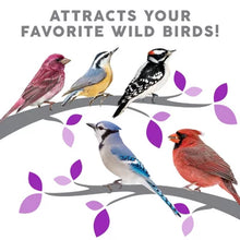 Harvest Seed & Supply Birder'S Medley Wild Bird Food, Premium Mix of Bird Seed, (20 Lbs.)