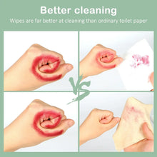 QingYa Bamboo Flushable Wet Wipes with Aloe, 360 Wipes (6 Packs) , Unbleached