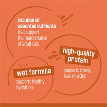 Purina Friskies Turchicken Gravy, Soft Variety Pack, Wet Cat Food, 5.5 oz Cans, 40 Pack