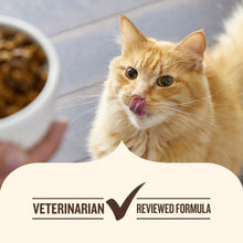 Nutrish Everyday Digestion Chicken Brown Rice and Salmon Recipe with Veggies Dry Cat Food, 13lb Bag