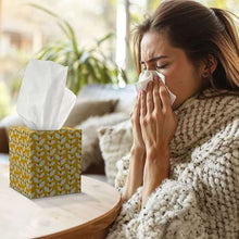 Ultra Soft 3-Ply Facial Tissues, Cube Boxes (80 Tissues/Box, 12 Boxes) - Brands For Less USA