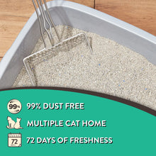 Special Kitty Scoopable Tight Clumping Cat Litter, Fresh Scent, 20 lb