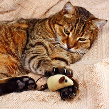 Friskies Lil Soups Adult Cat Food Complement 3 Flavor (2) Each: Sockeye Salmon, Shrimp, Tuna (1.2 Ounces) + MerlinsMart Zine + Catnip Toy