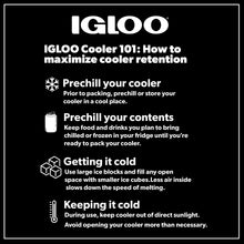 Igloo 48 QT Laguna Hard-Sided Ice Chest Cooler, Aqua Blue and White - Brands For Less USA