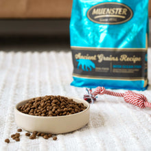 Muenster Ancient Grains With Ocean Fish Dog Food, All Life Stages, 4 lb Bag