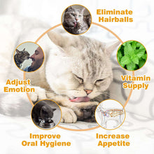 8 Pack Catnip Balls, Catnip Ball for Cats Wall, Edible Kitty Toys for Cats Lick, Safe Healthy Kitten Chew Toys, Teeth Cleaning Dental Cat Toys, Cat Wall Treats (Pink+Blue)