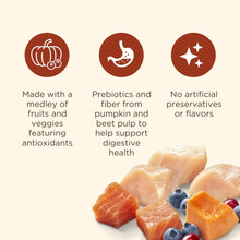 Nutrish Everyday Immune Support Chicken, Salmon, Blueberry & Pumpkin Recipe Dry Dog Food, 13lb Bag