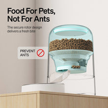 Petlibro 2L Air Automatic Cat Feeder, Battery-Operated Food Dispenser with 180-Day Battery Life, AIR Timed Feeder for Cats & Dogs, White