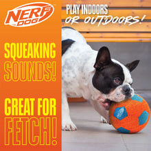 Nerf Dog X-Weave Squeak Soccer Ball for Large Dogs