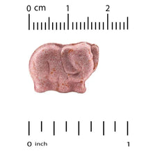 California Gold Nutrition, Chewable Immune Blend with Vitamin A, Vitamin C, Vitamin E, and Zinc for Children, Natural Tropical Berry, 90 Vegetarian Tablets - Brands For Less USA