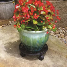 allen + roth 12-in L x 12-in D x 2.7-in H Black Plant Caddy