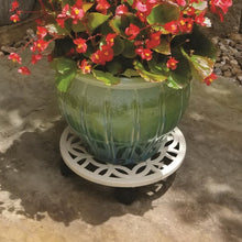 allen + roth 12-in L x 12-in D x 2.7-in H Off-white Plant Caddy