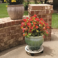 allen + roth 12-in L x 12-in D x 2.7-in H Off-white Plant Caddy