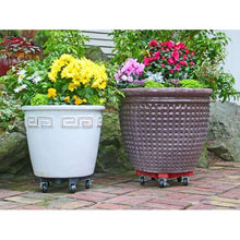 Bosmere 14-in L x 14-in D x 3.5-in H Plastic Terra Cotta Plant Caddy