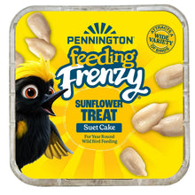 12-pack-Pennington-Feeding-Frenz1 - Brands For Less USA