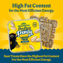 12-pack-Pennington-Feeding-Frenz3 - Brands For Less USA