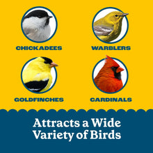 12-pack-Pennington-Feeding-Frenz4 - Brands For Less USA