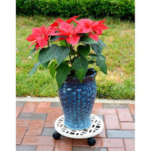 allen + roth 12-in L x 12-in D x 2.7-in H Off-white Plant Caddy