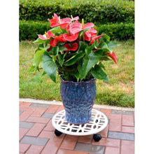 allen + roth 17-in L x 17-in D x 2.7-in H Off-white Plant Caddy