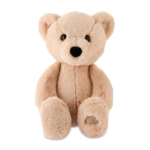 Spark.Create.Imagine Cuddle Bear, 12" - Brands For Less USA