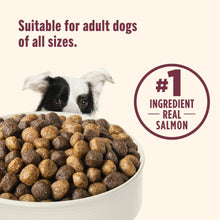 Nutrish Real Salmon, Veggies & Brown Rice Recipe Whole Health Blend Dry Dog Food, 13 lb. Bag (Rachael Ray)