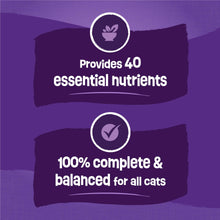 Purina Friskies Surfin and Turfin Favorites Dry Cat Food Flavors of Chicken, Whitefish, Salmon and Filet Mignon, 16 lb Bag