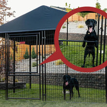 Lucky Dog STAY Series Executive Dog Kennel 8'x8' with Privacy Screen