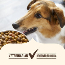 Nutrish Everyday Immune Support Chicken, Salmon, Blueberry & Pumpkin Recipe Dry Dog Food, 13lb Bag