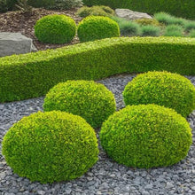 1Gal.HomeGardenCollection_8-pack1 - Brands For Less USA