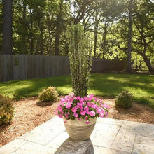 1Gal.HomeGardenCollection_8-pack4 - Brands For Less USA