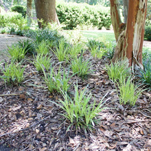 1Gal.HomeGardenCollection_8-pack7 - Brands For Less USA