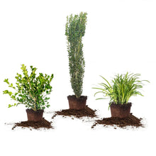 1Gal.HomeGardenCollection_8-pack - Brands For Less USA